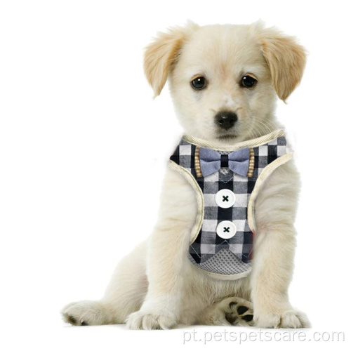 Arnês de cães moda confortável cão pequeno arnês